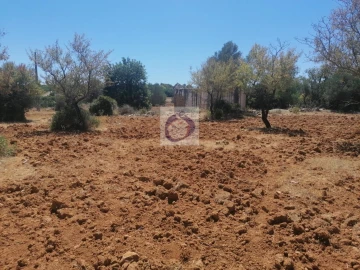Quinta para Venda em Quelfes