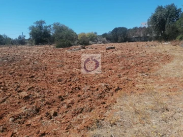 Quinta para Venda em Quelfes