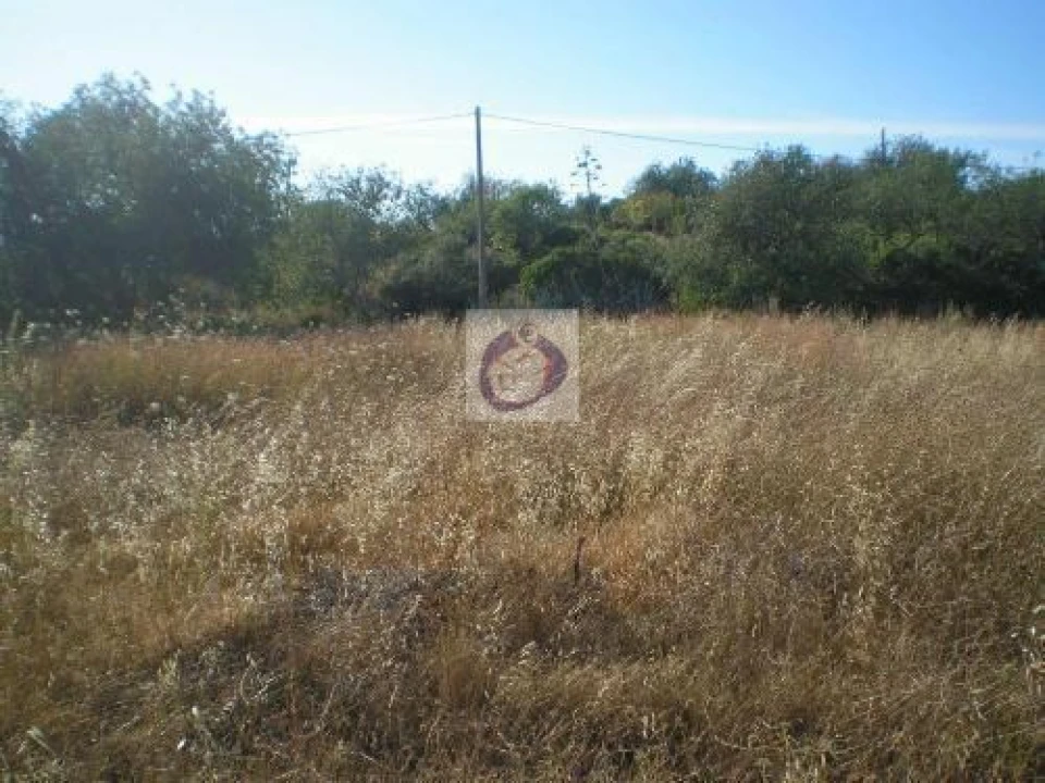 Terreno Agricola ou Rústico para Venda em Moncarapacho e Fuseta Foto 1