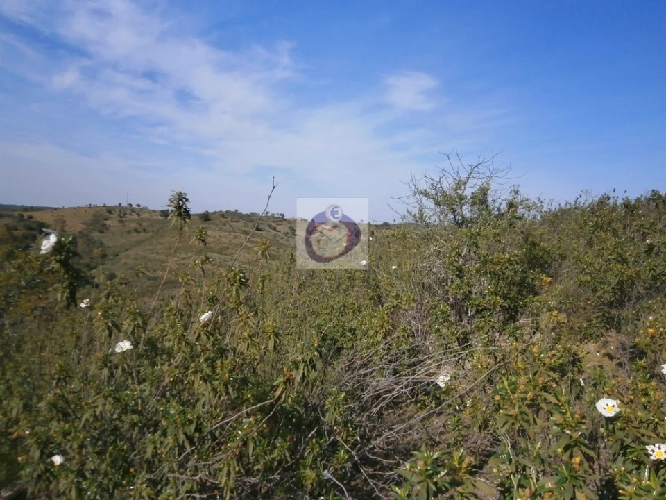 Terreno para Venda em Alcoutim e Pereiro Foto 11