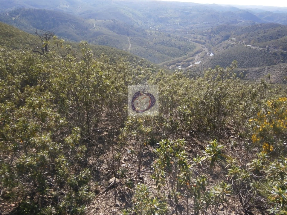 Terreno para Venda em Alcoutim e Pereiro Foto 13