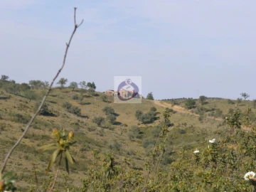 Terreno para Venda em Alcoutim e Pereiro