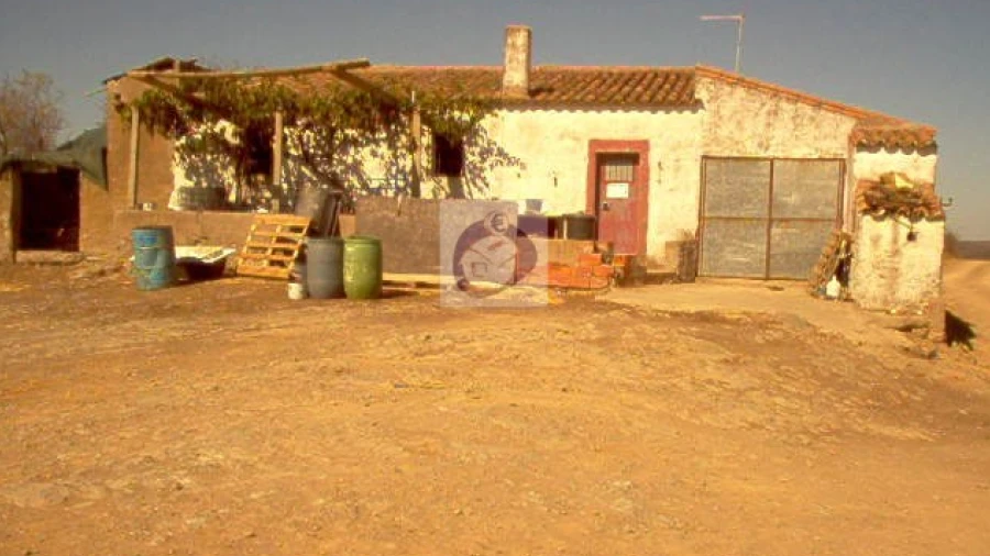 Terreno para Venda em Alcoutim e Pereiro