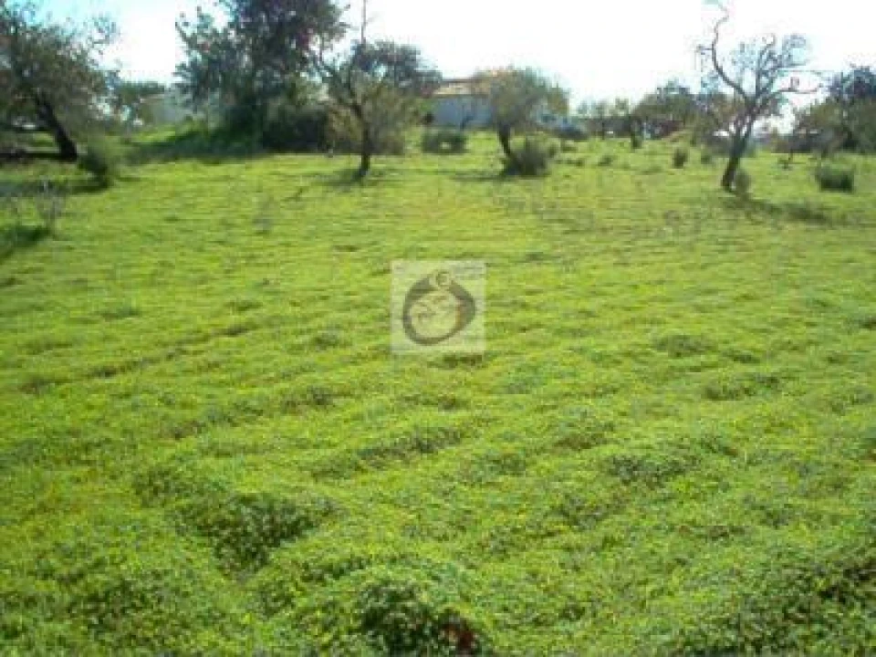 Terreno Agricola ou Rústico para Venda em Quelfes Foto 1