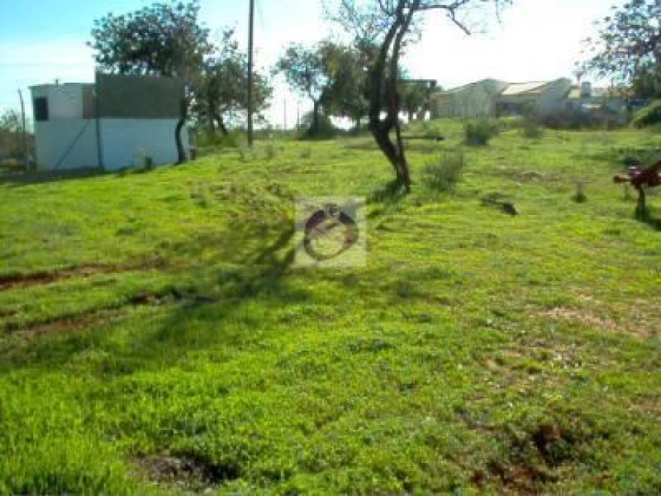 Terreno Agricola ou Rústico para Venda em Quelfes Foto 2