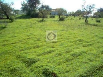 Terreno Agricola ou Rústico para Venda em Quelfes
