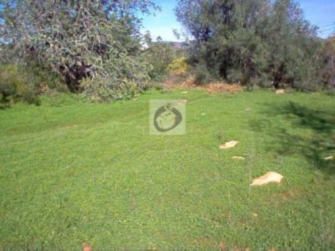 Terreno Agricola ou Rústico para Venda em Quelfes Foto 4