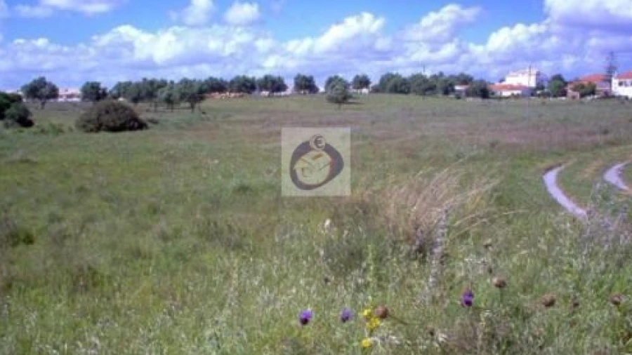Terreno Agricola ou Rústico para Venda em Ferreiras