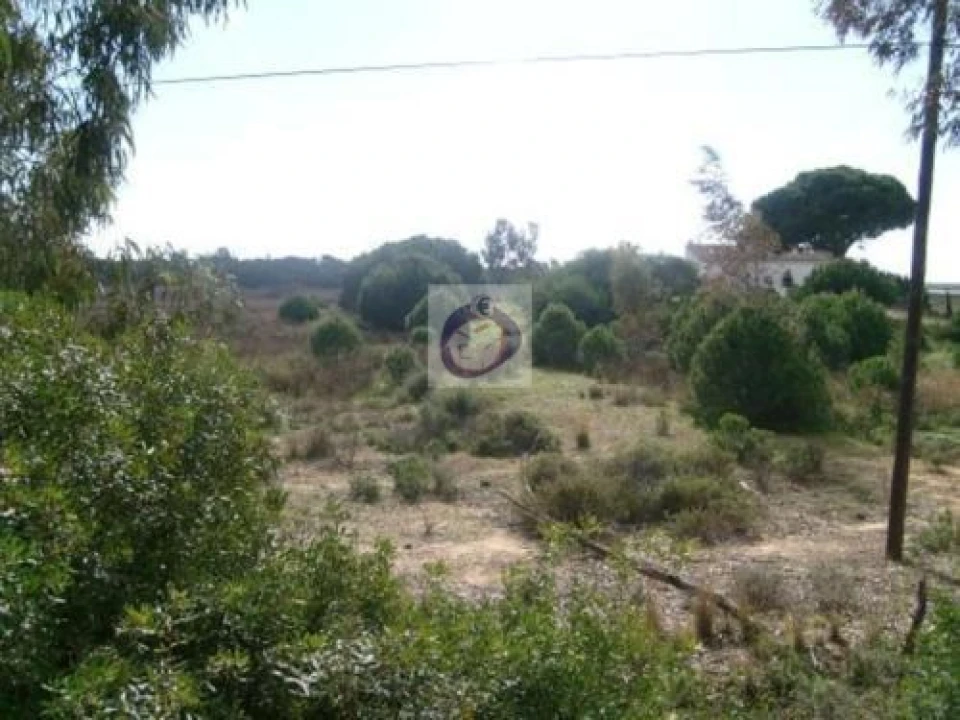 Quinta para Venda em Montenegro Foto 1