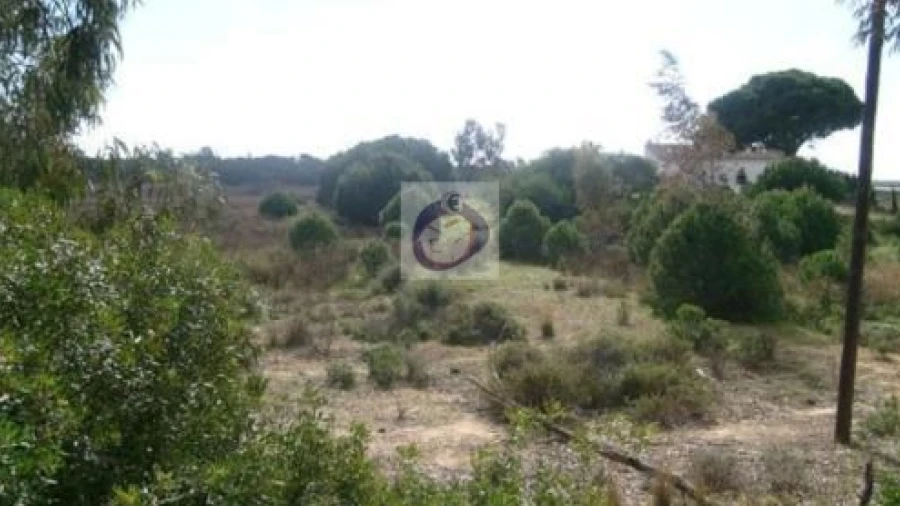 Quinta para Venda em Montenegro