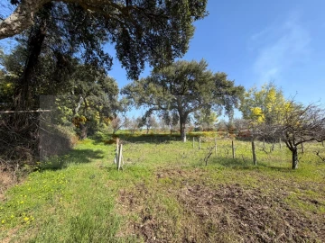 Terreno para Venda em Vale de Prazeres e Mata da Rainha