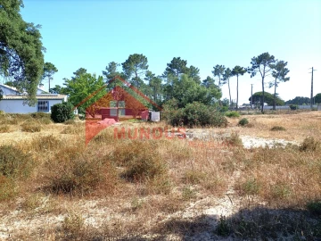 Quinta T4 para Venda em Azeitão (São Lourenço e São Simão)