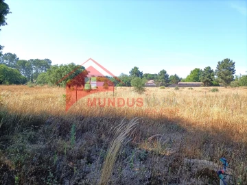 Quinta T4 para Venda em Azeitão (São Lourenço e São Simão)