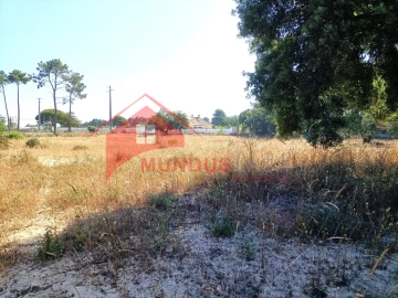 Quinta T4 para Venda em Azeitão (São Lourenço e São Simão)