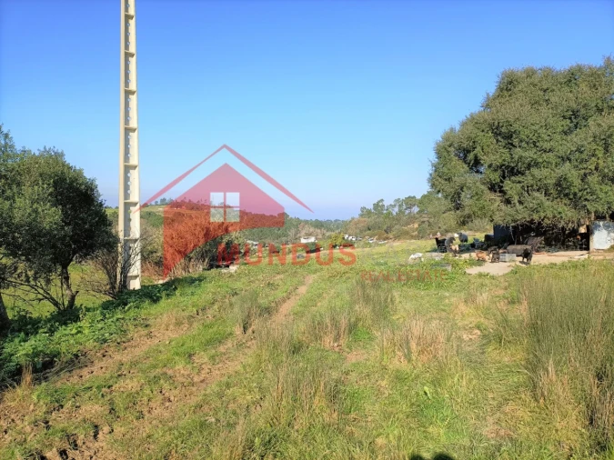 Terreno para Venda em Sesimbra (Castelo) Foto 17