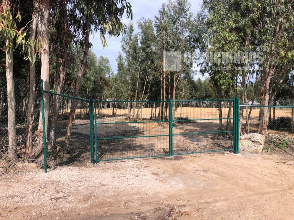 Terreno para Venda em Santa Maria e São Miguel, São Martinho, São Pedro Penaferrim Foto 8