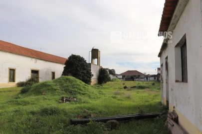 Moradia para Venda em Alpiarça