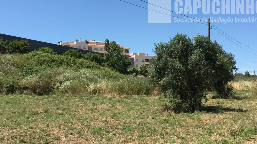 Terreno para Venda em Torres Novas (Santa Maria, Salvador e Santiago)