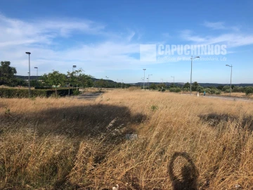 Terreno para Venda em São João Baptista