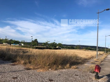 Terreno para Venda em São João Baptista