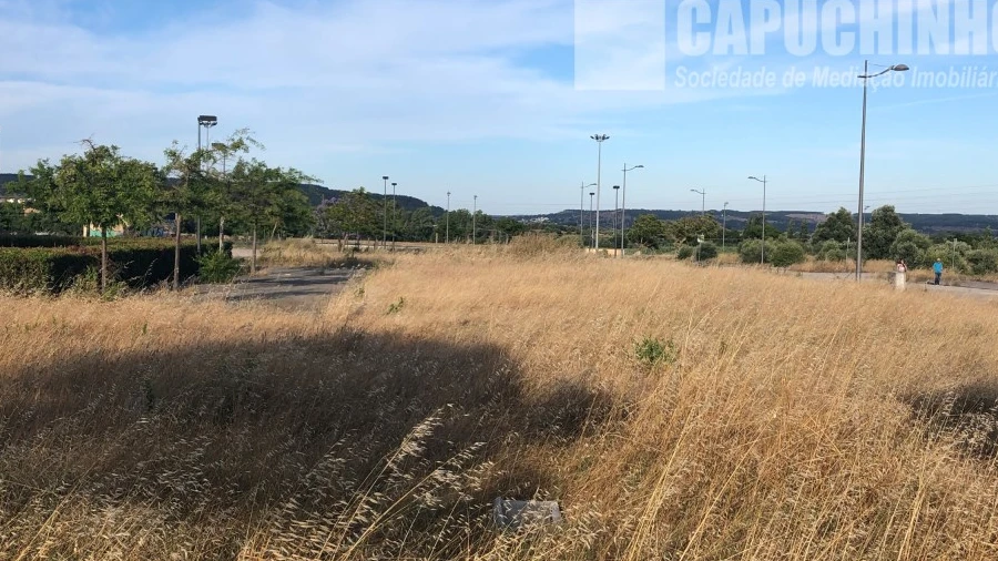 Terreno para Venda em São João Baptista