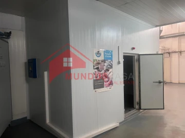 Armazém para Venda em Azeitão (São Lourenço e São Simão)