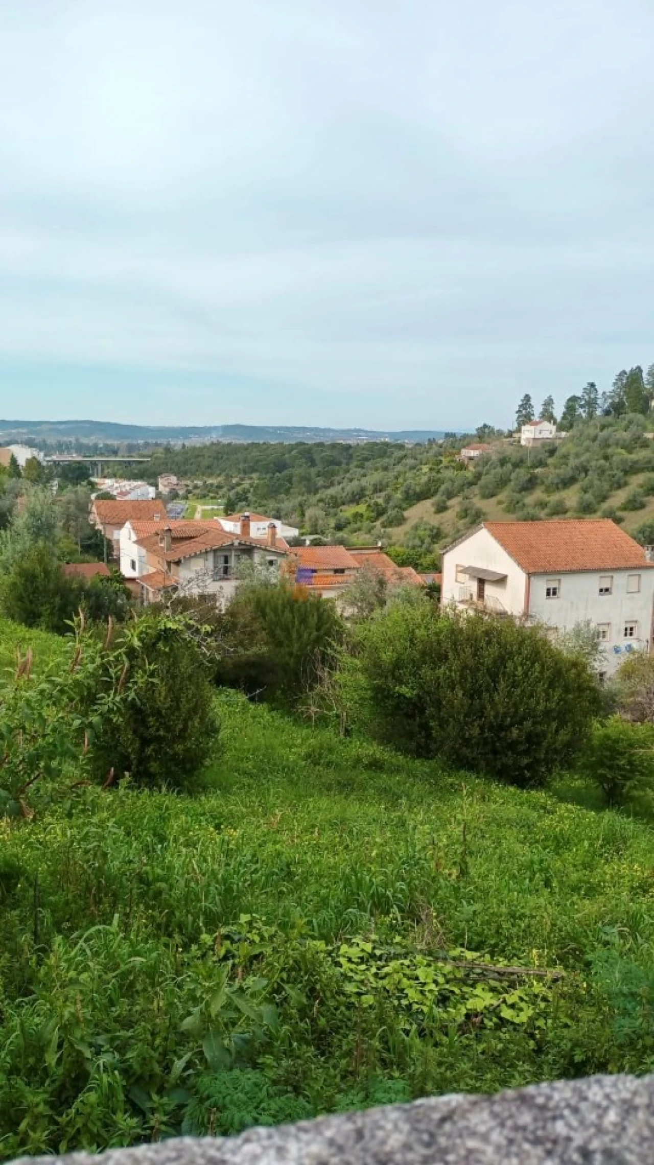 Apartamento T2 para Venda em Santa Clara e Castelo Viegas Foto 8