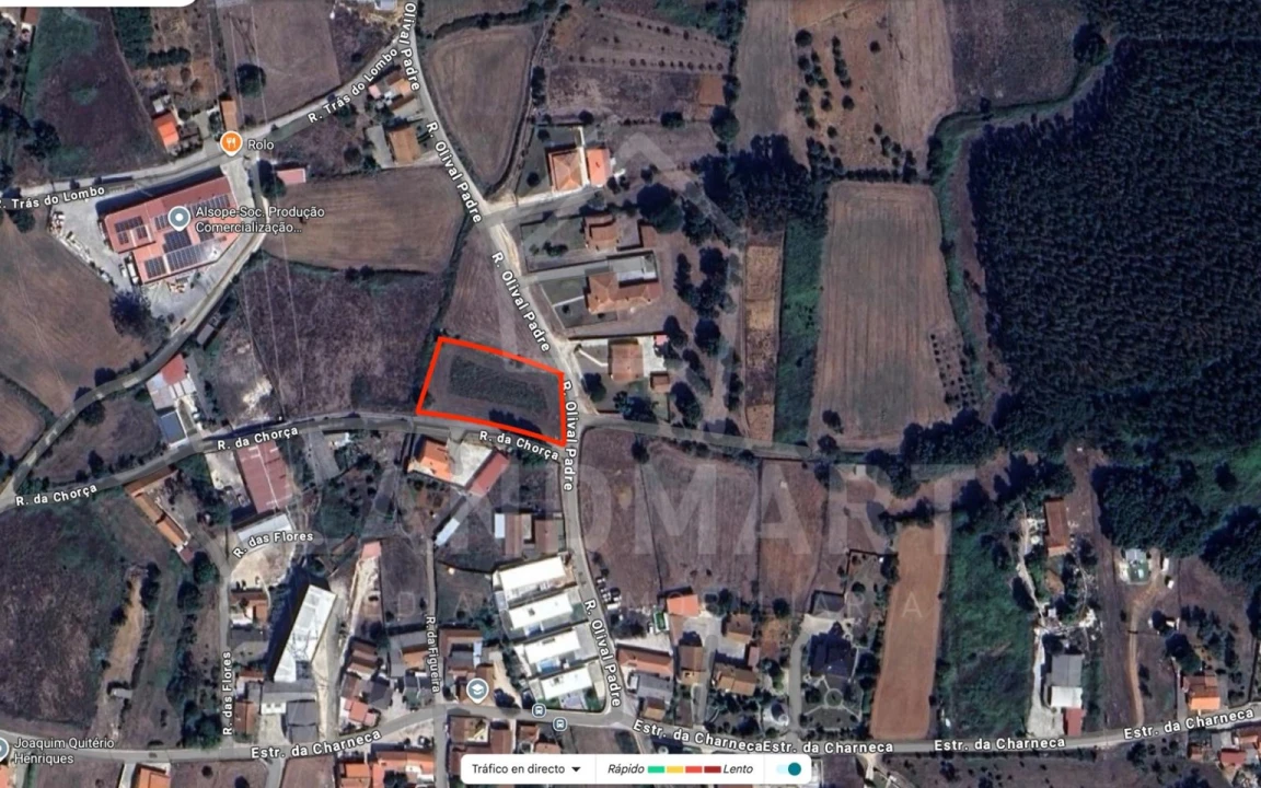 Terreno para Venda em Benedita Foto 8