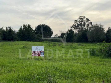 Terreno para Venda em Aljubarrota