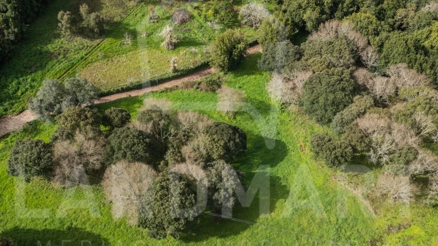 Terreno para Venda em Turquel