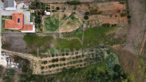 Terreno para Venda em Aljubarrota