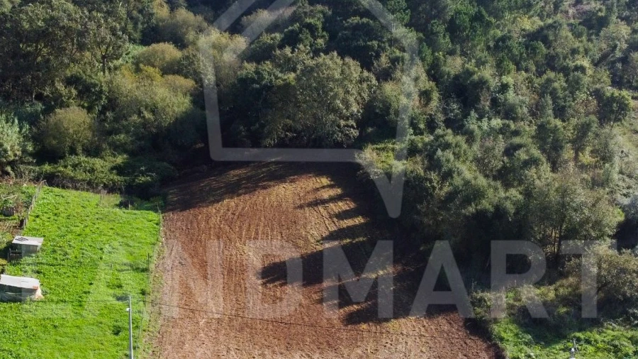 Terreno para Venda em Turquel