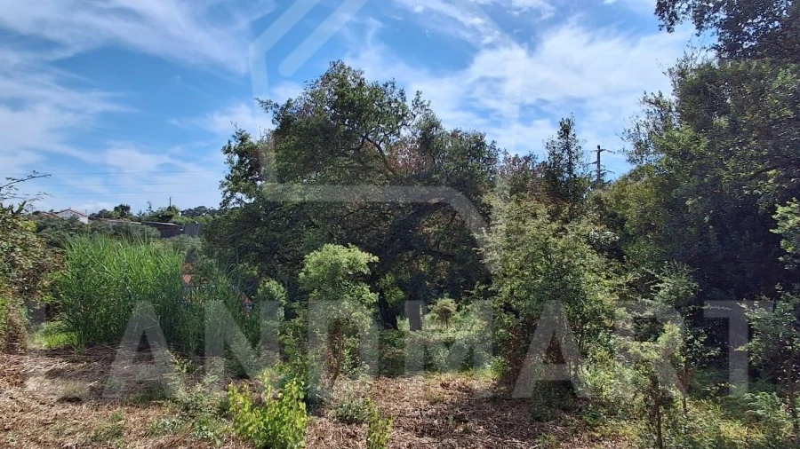 Terreno para Venda em Benedita