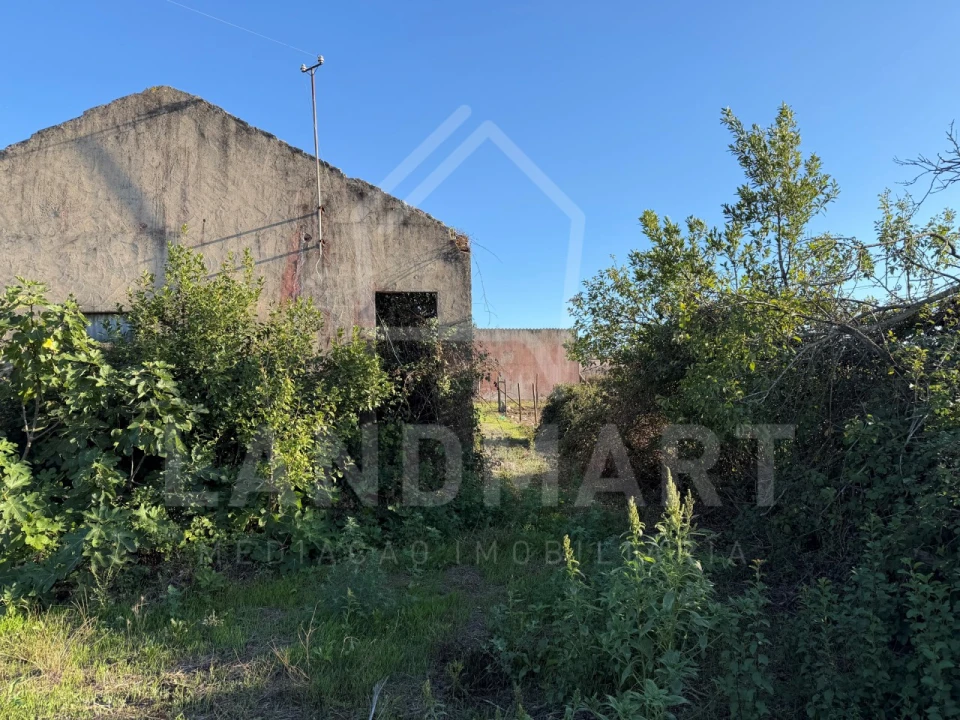 Terreno para Venda em Benedita Foto 4