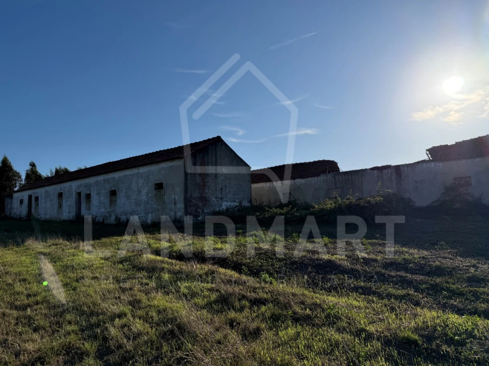 Terreno para Venda em Benedita Foto 2