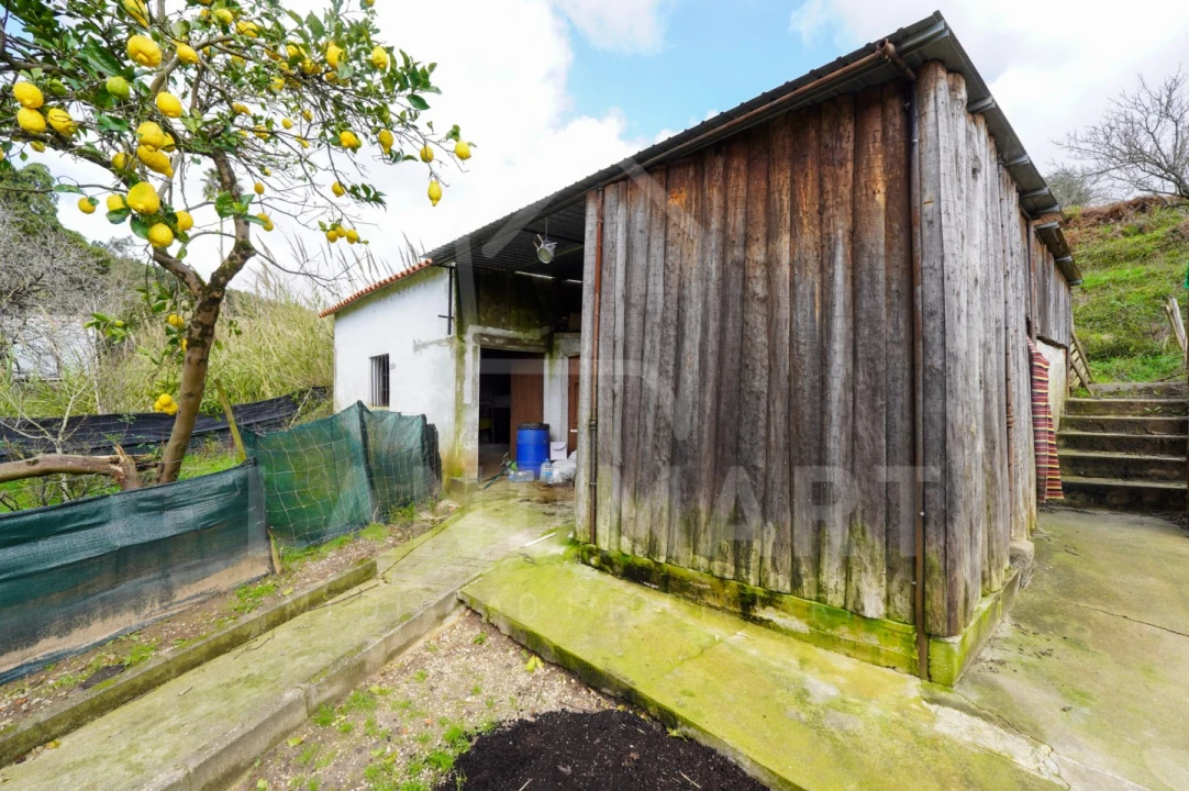 Moradia T3 para Venda em Alcobaça e Vestiaria Foto 25