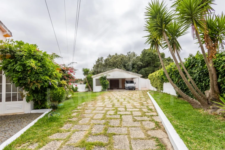 Moradia T4 para Venda em Benedita Foto 49