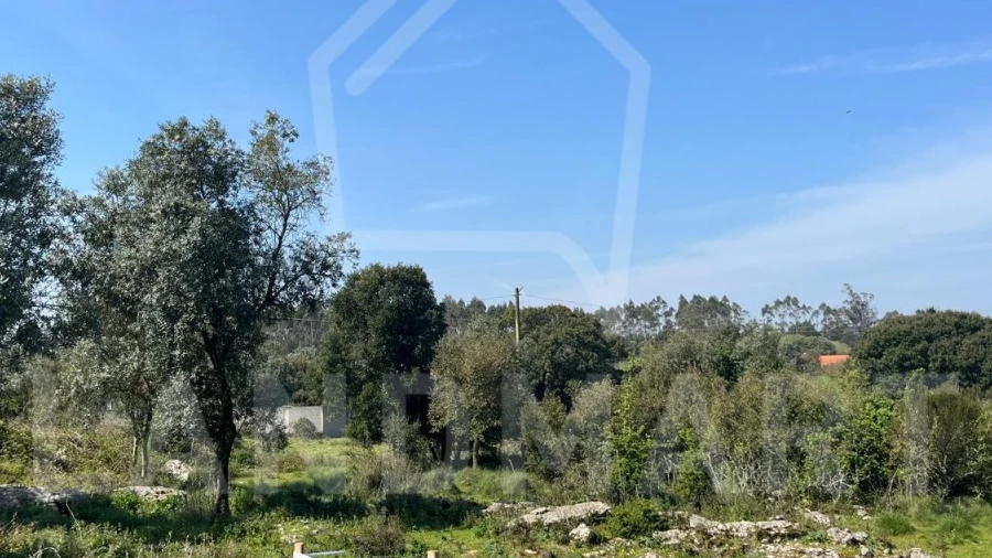Terreno para Venda em Turquel