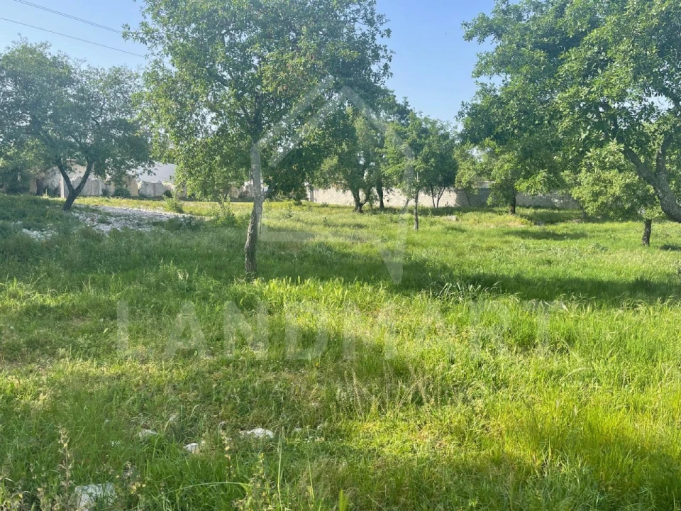 Negócio para Venda em Turquel Foto 4