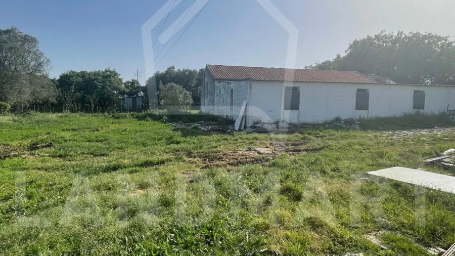 Negócio para Venda em Turquel