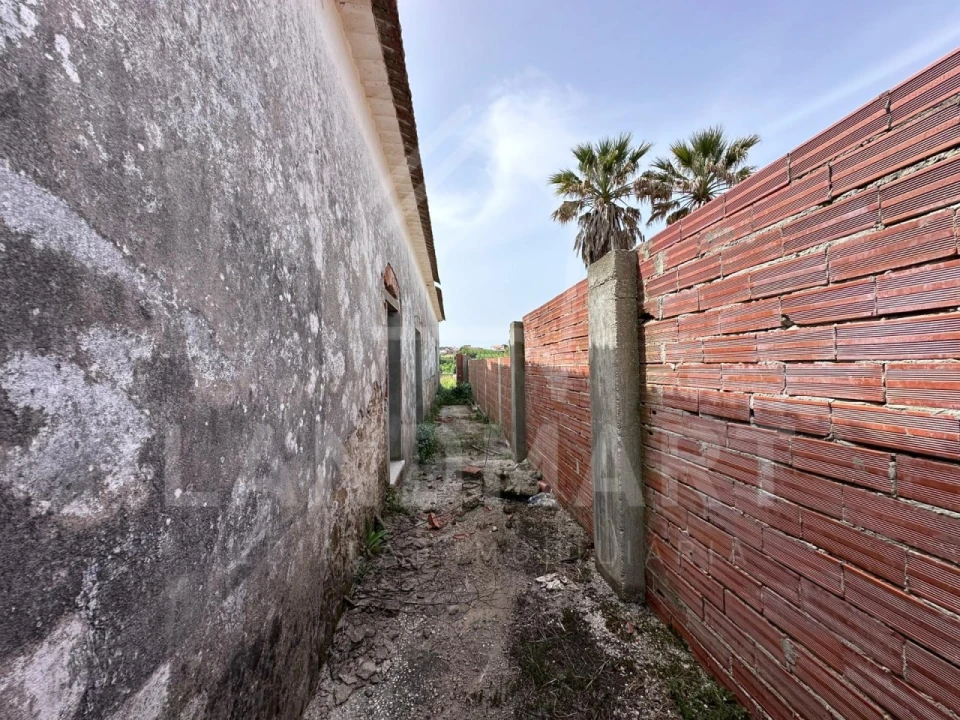 Quinta para Venda em Cela Foto 6