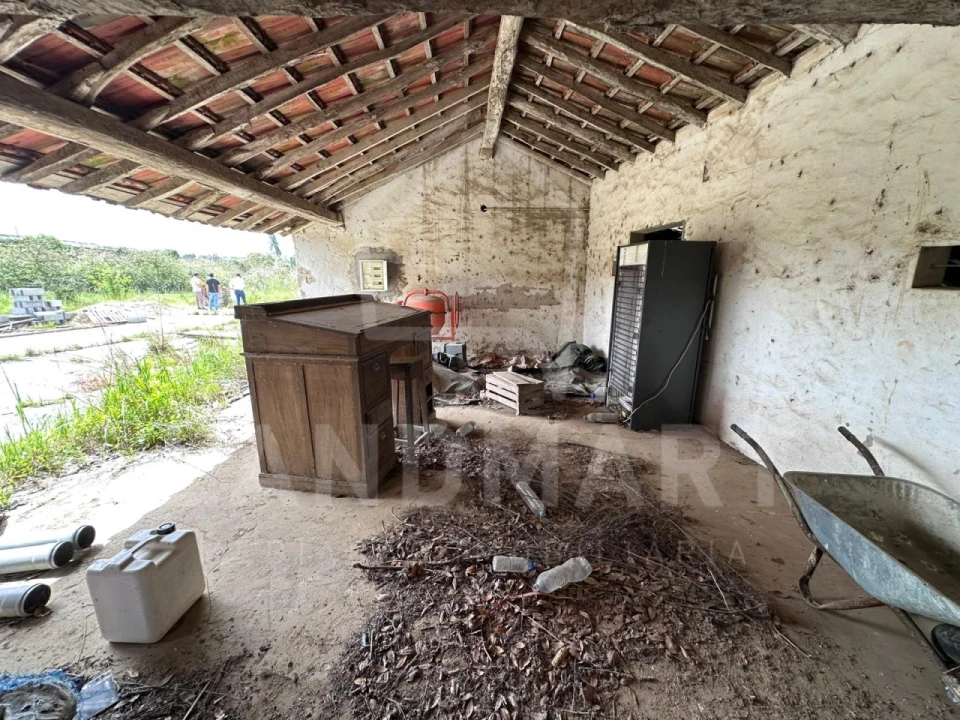 Quinta para Venda em Cela Foto 11