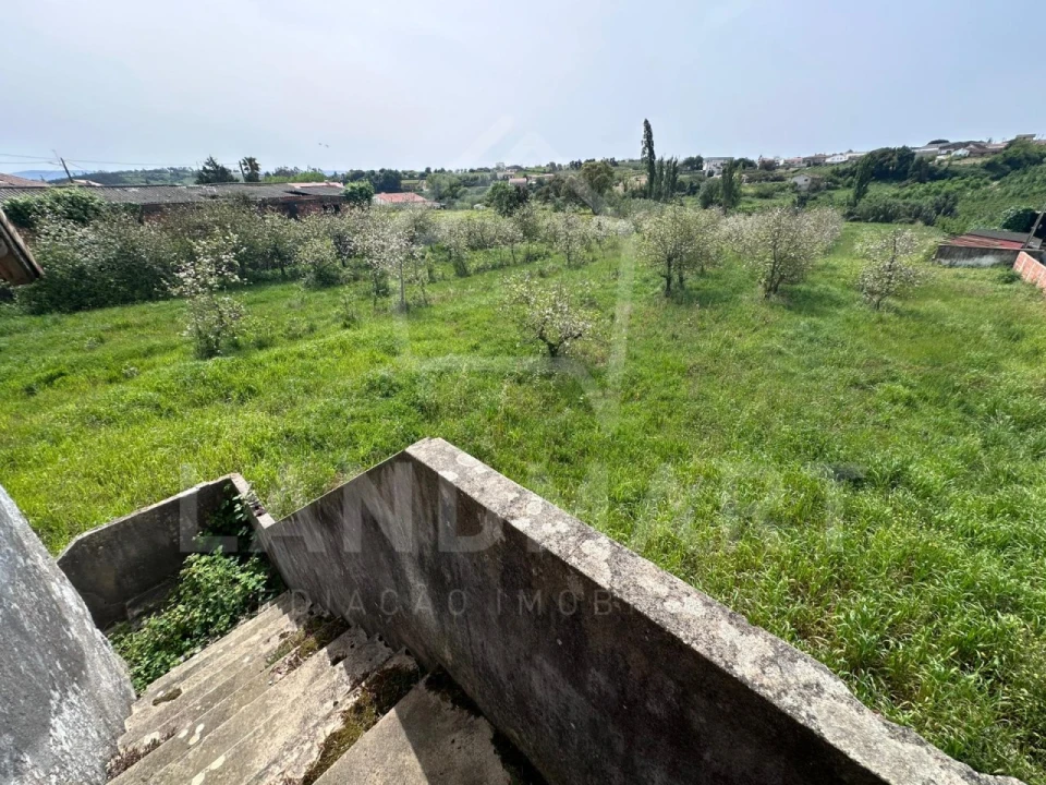 Quinta para Venda em Cela Foto 13