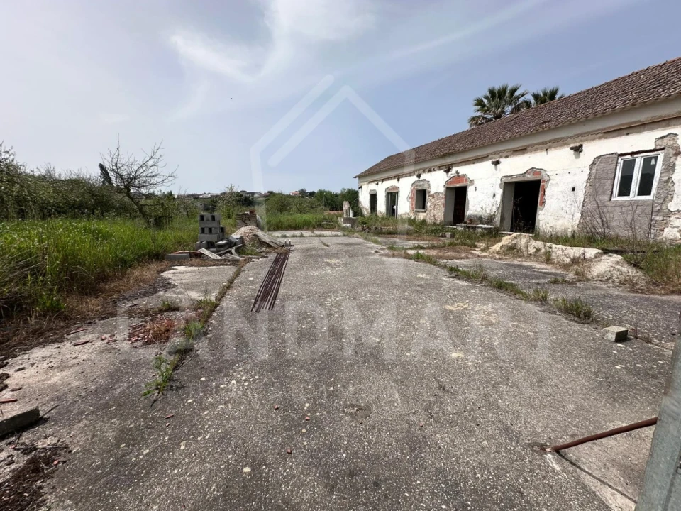 Quinta para Venda em Cela Foto 18