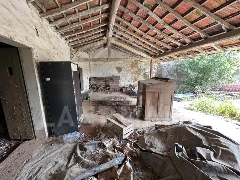 Quinta para Venda em Cela Foto 20