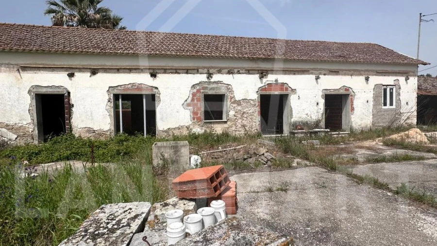 Quinta para Venda em Cela