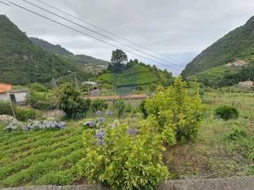 Terreno para Venda em Boa Ventura