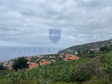 Terreno para Venda em Arco da Calheta
