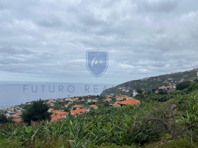 Terreno para Venda em Arco da Calheta Foto 6