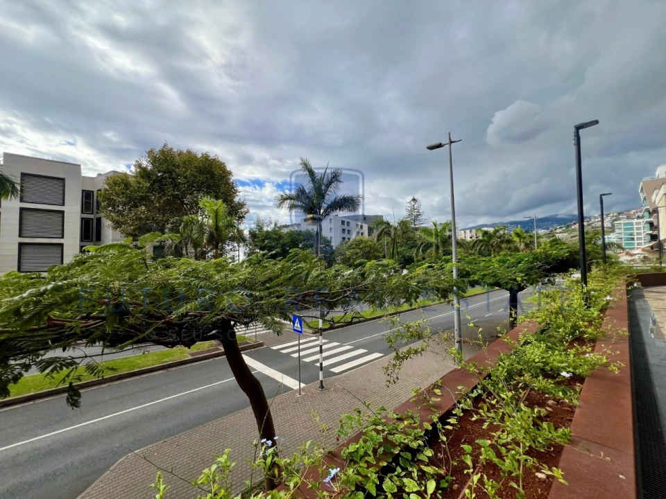 Loja para Venda em São Martinho Foto 41